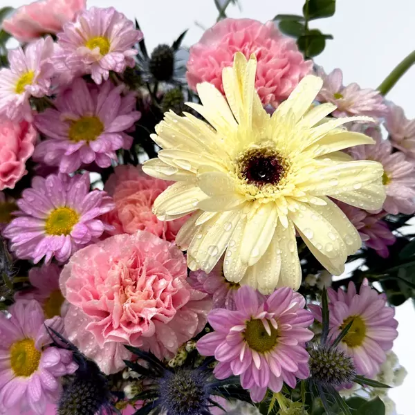A bouquet of pink and purple daisies, pink carnations, and a yellow gerbera daisy with water droplets.