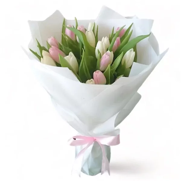 A bouquet of white and pink tulips wrapped in white paper, tied with a pink ribbon.
