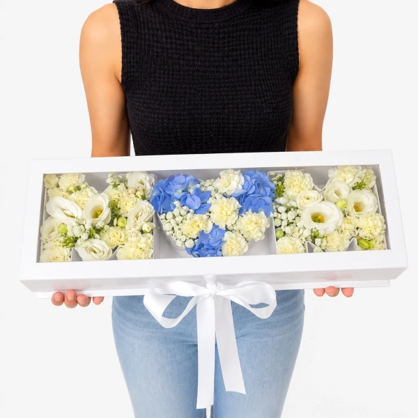 Blue Mom Box - Standard