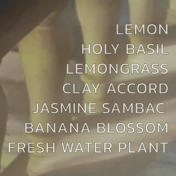 List of ingredients for a shampoo: Lemon, Holy Basil, Lemongrass, Clay Accord, Jasmine Sambac, Banana Blossom, Fresh Water Plant.