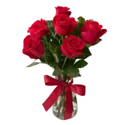 Vase with 6 red roses tied with a red ribbon.