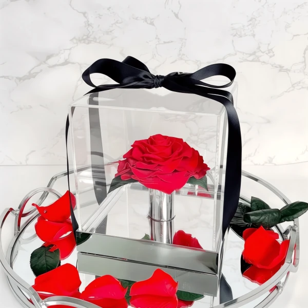 A red preserved rose in a clear acrylic box with a black ribbon on a mirrored tray with rose petals.