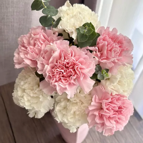 A bouquet of fluffy pink and white carnations interspersed with eucalyptus.