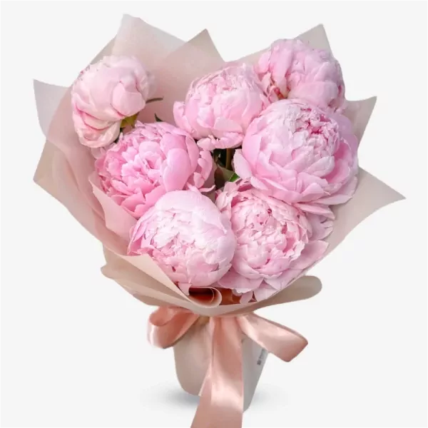 A bouquet of seven pink peonies with light pink paper wrapping and a satin ribbon.