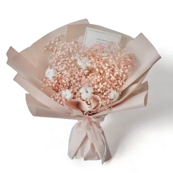 Cotton Dream Dried Flowers - Standard