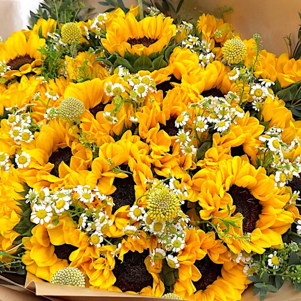 A large bouquet of bright yellow sunflowers interspersed with small white daisies.