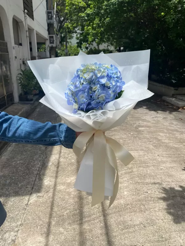 Blue hydrangeas in a white paper bouquet with a cream ribbon.