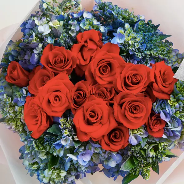 A bouquet of red roses nestled amongst blue hydrangeas, wrapped in sheer paper.