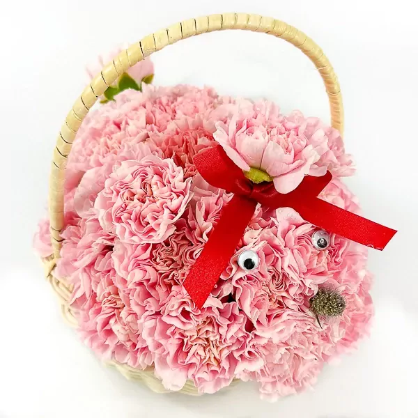 Pinky Cotton Basket - Pinky Cotton Basket