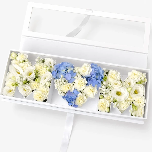Blue Mom Box - Blue
