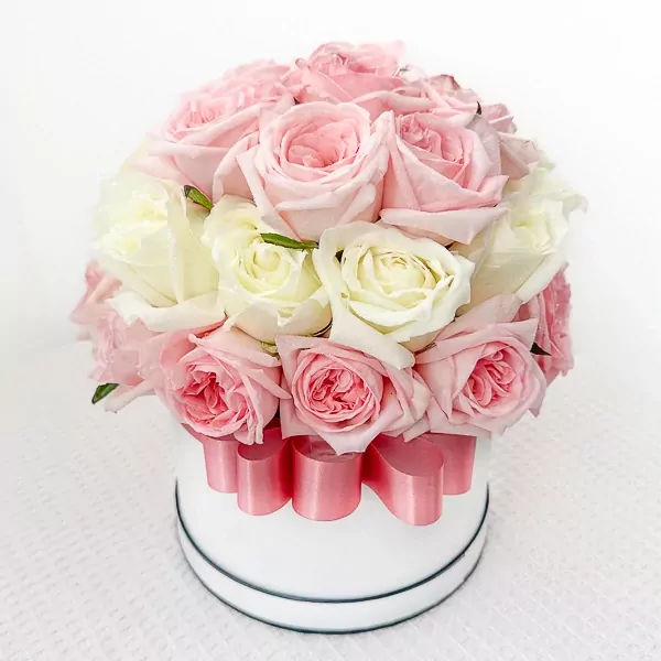 Round white box filled with 40 pink and white roses, tied with a pink ribbon.