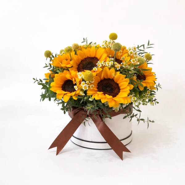 A white circular box filled with bright sunflowers, greenery, and accent flowers, tied with a brown ribbon.