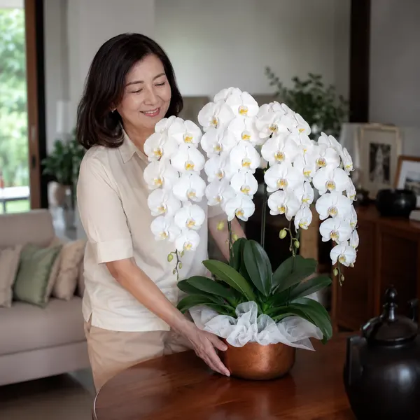 Majestic Orchids Vase 3