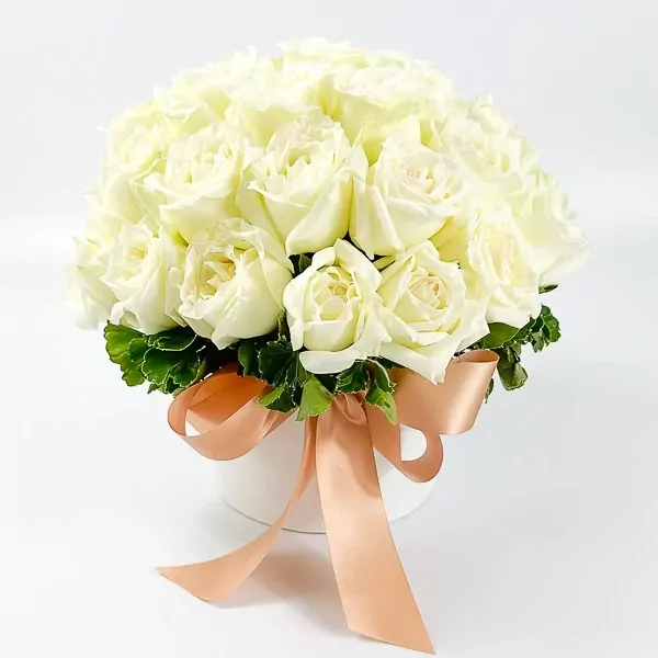 White roses in a round box tied with a peach ribbon, on a white background.