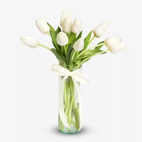 White tulips in a clear glass vase tied with a cream ribbon, set against a white background.