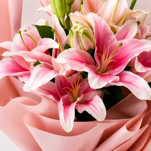 Lily 4