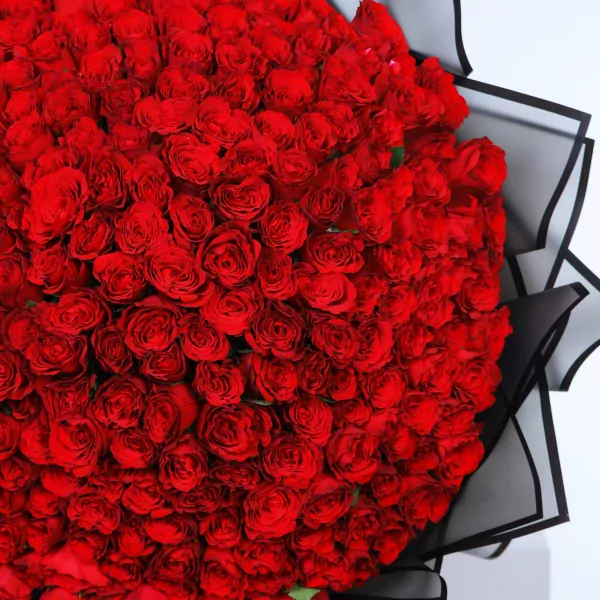 A massive bouquet of 300 deep red roses, tightly packed and wrapped in black paper.
