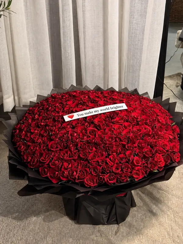 500 Red Roses Unmatched 2