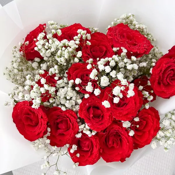 Bouquet of 15 deep red roses with baby's breath, presented in white paper.