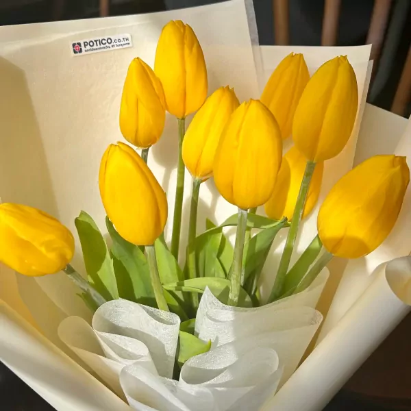 Bright yellow tulips arranged in a bouquet with white and yellow wrapping paper and a ribbon.