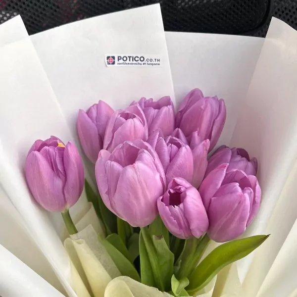 Bouquet of vibrant purple tulips elegantly wrapped in white paper.
