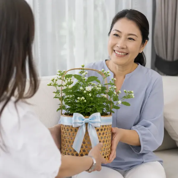 Jasminum Sambac Plant Basket 2