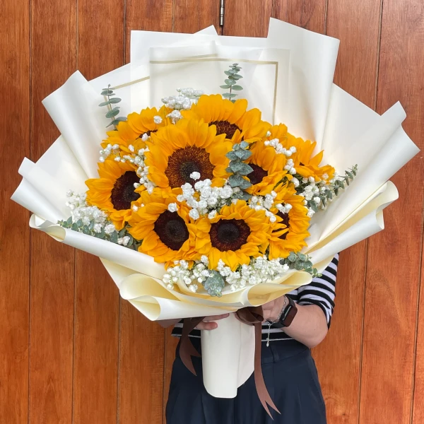 A bouquet of ten bright sunflowers, white baby's breath, and eucalyptus leaves in cream wrapping.