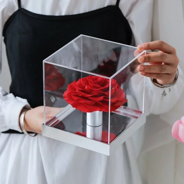 Woman holding a red preserved rose in a clear acrylic cube with a silver base.