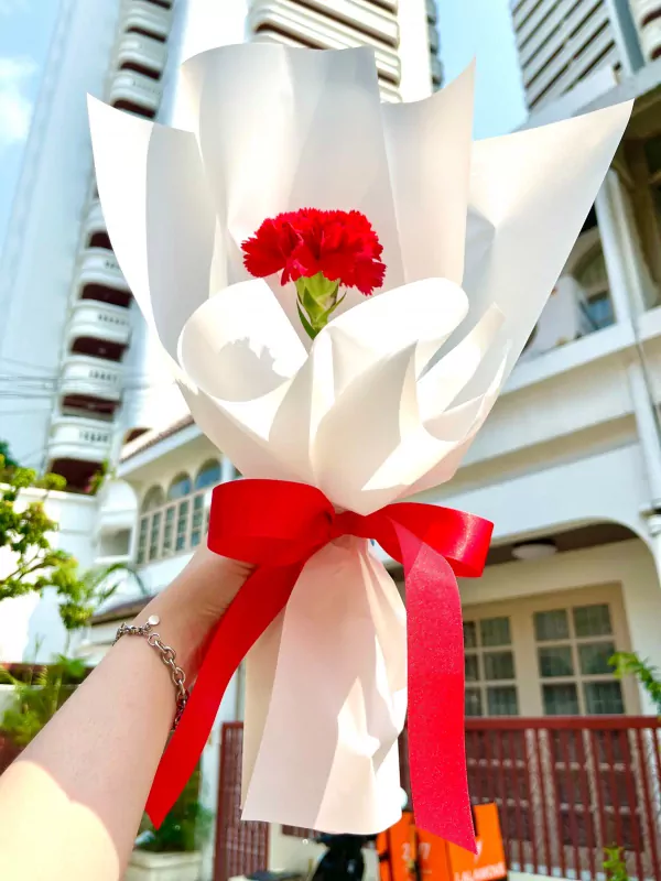 Hand holding a single red carnation bouquet wrapped in white paper, tied with a red ribbon.
