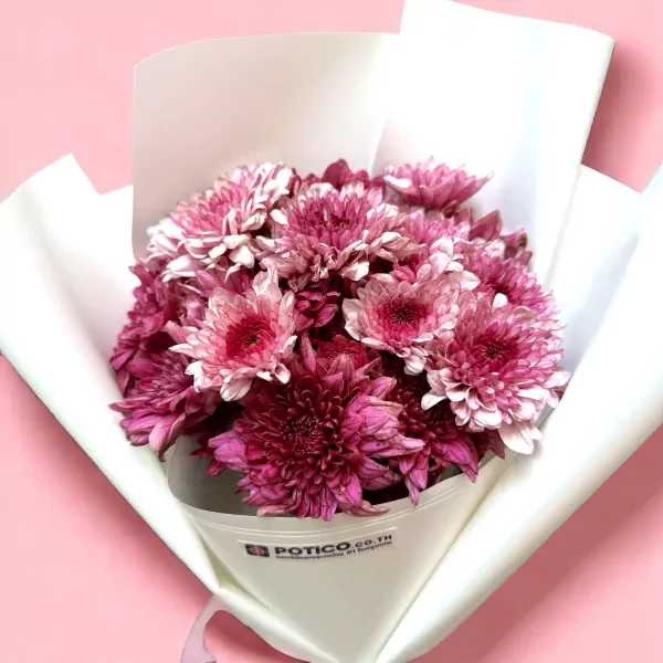 Bouquet of pink and magenta chrysanthemums wrapped in white paper.