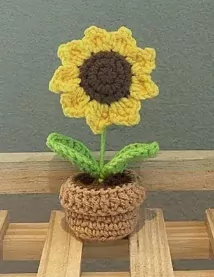 Crochet Sunny Pot