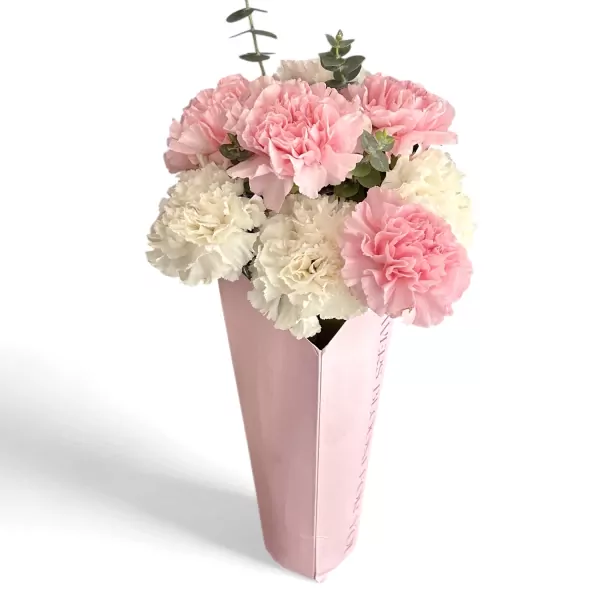 Pink and white carnations in a pink vase, symbolizing love and admiration.