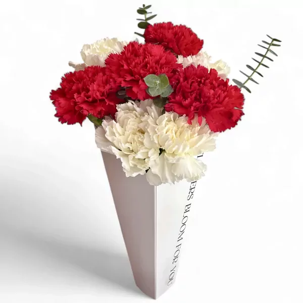Red and white carnations in a white vase with text "BLOOM FOR YOU".