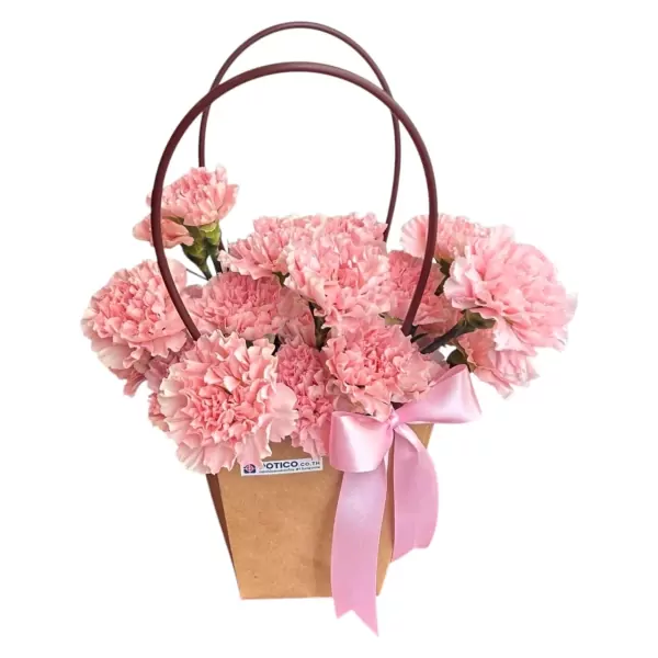 Pink carnations in a brown paper bag with a pink ribbon bow and dark brown handles.