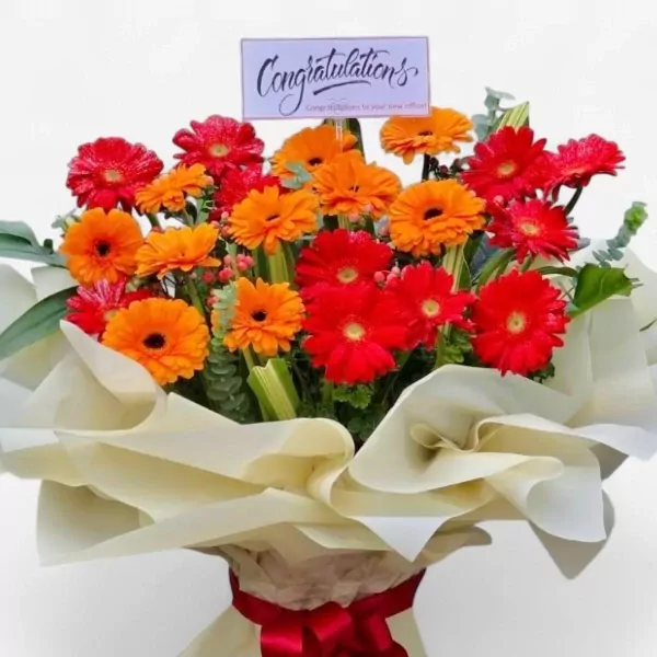 Bright gerbera daisies in red and orange arranged in a bouquet with a "Congratulations" card.