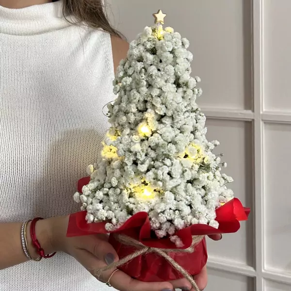 A person holds a white gypsophila Christmas tree with a star topper and fairy lights.