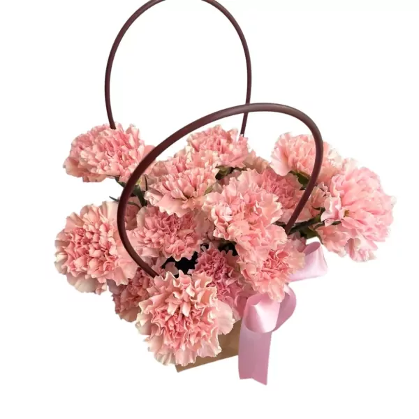 Pink carnations arranged in a modern bag with a ribbon, against a white background.