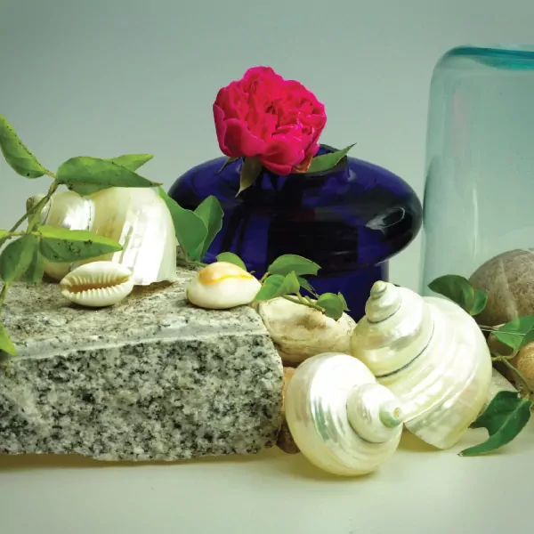 Still life of a pink rose in a blue vase, shells, stones, and glass on a white surface.