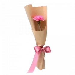 Pink carnation bouquet wrapped in brown paper with a pink ribbon.