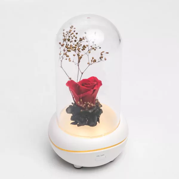 Rose Diffuser