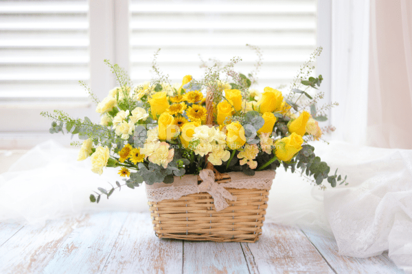 header_main_image