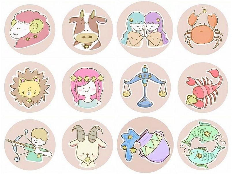 Which Flower Is For Your Zodiac Sign? Potico.vn SameDay Flower