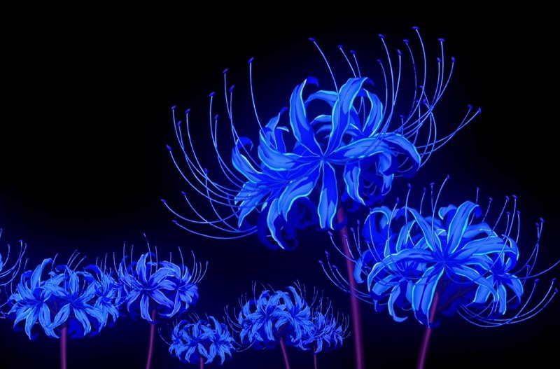 Red Spider Lily - Potico.vn | Same-Day Flower Delivery | Awesome Gift Ideas