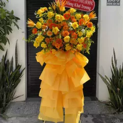 AnyConv.com__Untitled design (6).webp