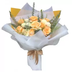 nang ha.webp