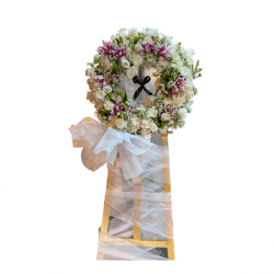 nha trang 2_2.png