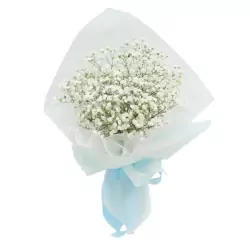 may.webp