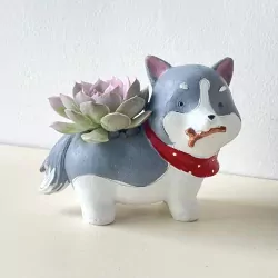 Sen Đá Cún Cưng