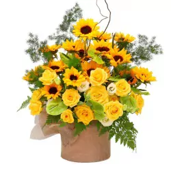 ha-thuong.webp