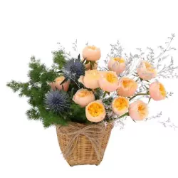 nho-nho.webp